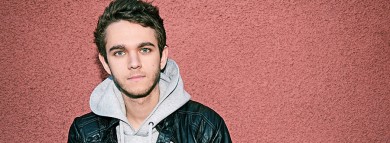 Foto de artista - Zedd