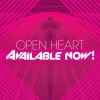 Carátula de Morgan Page feat. Lissie - Open Heart