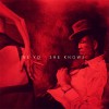 Carátula de Ne-Yo Feat. Juicy - She Knows