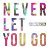 Carátula de Rudimental - Never let you go