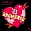 Carátula de Tim Berg - Seek Bromance (Avicii's Vocal Remix)