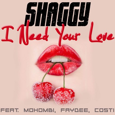 Carátula - Shaggy feat. Mohombi, Faydee & Costi - I Need Your Love