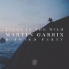 Carátula de Martin Garrix & Third Party - Lions In The Wild