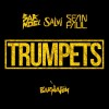 Carátula de Sak Noel feat. Sean Paul - Trumpets