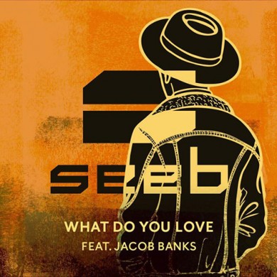 Carátula - Seeb feat. Jacob Banks - What Do You Love