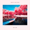 Carátula de Zedd feat. Liam Payne - Get Low