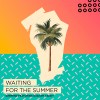 Carátula de Deepend - Waiting For The Summer