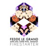 Carátula de Fedde Le Grand - Firestarter