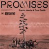 Carátula de Calvin Harris feat. Sam Smith - Promises