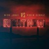 Carátula de Nick Jonas & Robin Schulz - Right Now