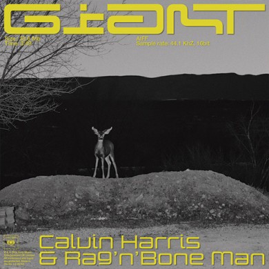 Carátula - Calvin Harris - Giant