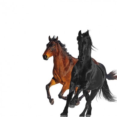 Lil Nas X - Old Town Road (Remix)