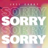 Carátula de Joel Corry - Sorry