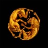 Carátula de Beyonce - Find Your Way Back