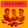 Carátula de VIZE & Tom Gregory - Never Let me Down