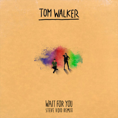 Carátula - Tom Walker - Wait For You (Steve Void Remix)