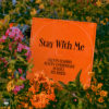 Carátula de Calvin Harris - Stay With Me