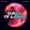 Carátula de Felix Jaehn - Call It Love