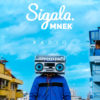 Carátula de Sigala feat. Mnek - Radio