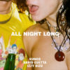 Carátula de Kungs & David Guetta - All Night Long